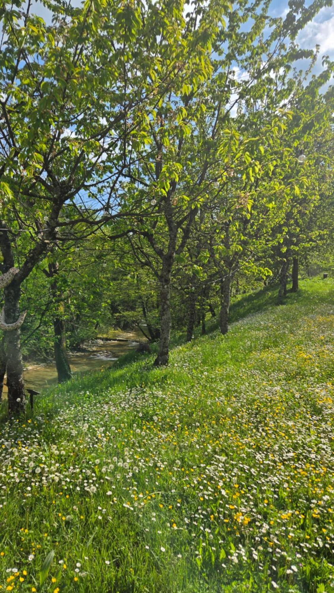 Borgo Corniola B&B Naturista Marradi Zewnętrze zdjęcie